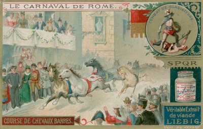 La Course des chevaux sauvages - European School