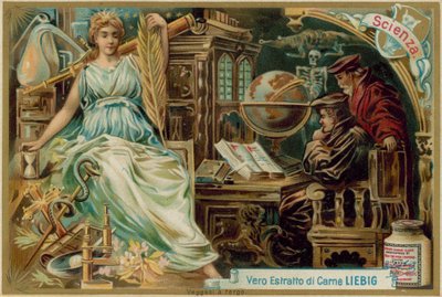 Les Sciences - European School