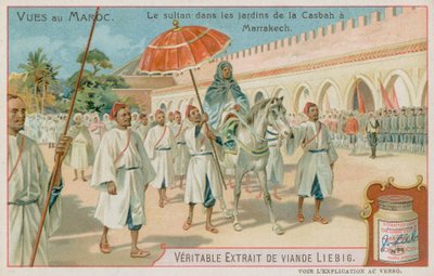 Le sultan visite les jardins de la Casbah à Marrakech - European School
