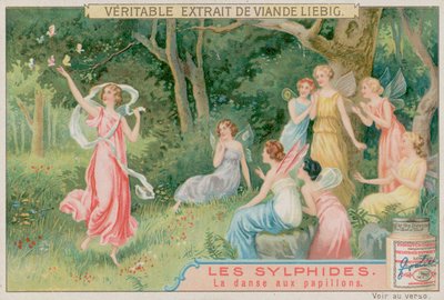 Les sylphes dansent avec des papillons - European School