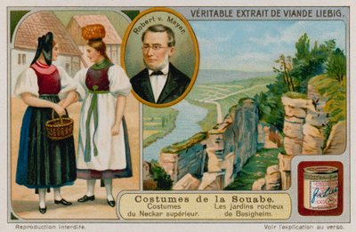 Les vêtements de la rivière Neckar supérieure, Julius Robert von Mayer et les jardins rocheux de Besigheim - European School