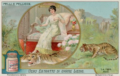 Le tigre - European School
