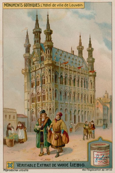 Hôtel de ville de Louvain en Belgique - European School