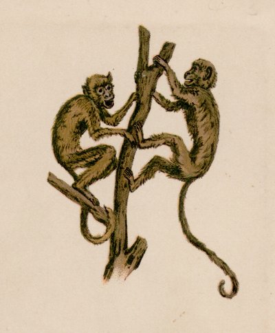 Deux singes - European School