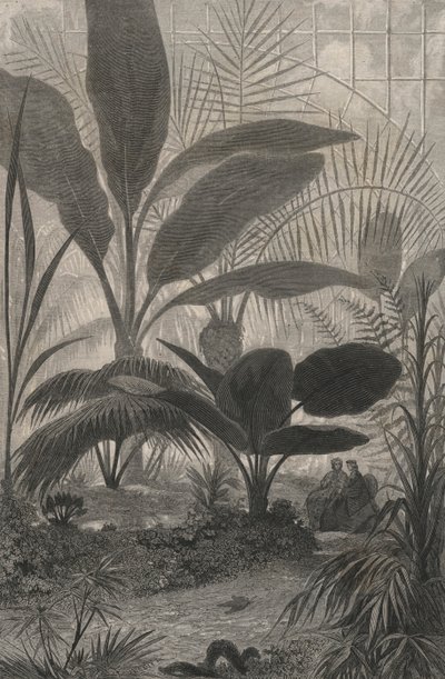 Un Jardin D