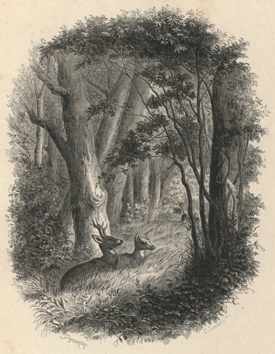 Un coin de la forêt de Fontainebleau - European School