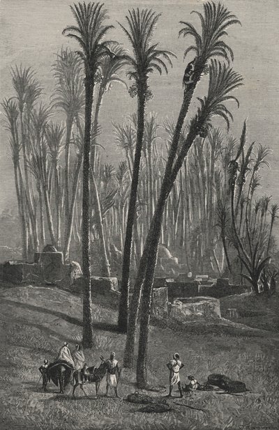 Une oasis au Sahara (gravure) - European School