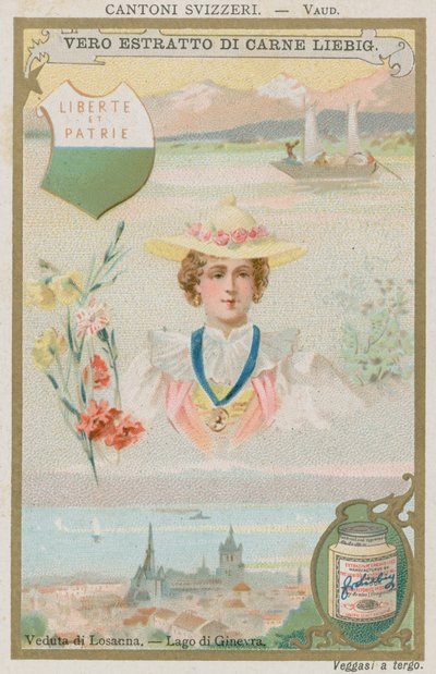 Vaud - European School
