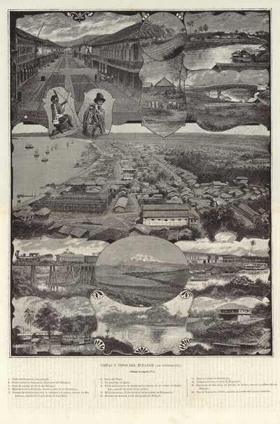 Vues et types de l
