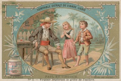 Virginie plaide pour l