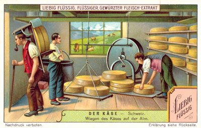 Pesée des fromages suisses dans une laiterie alpine - European School