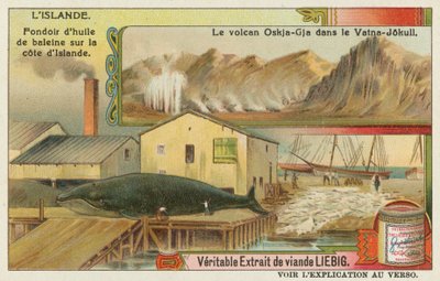 Usine d