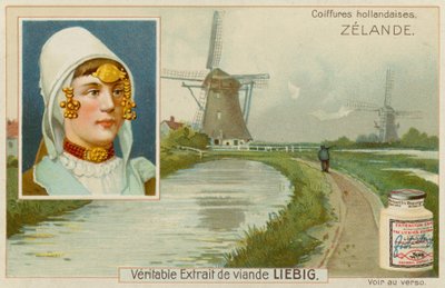Zélande - European School