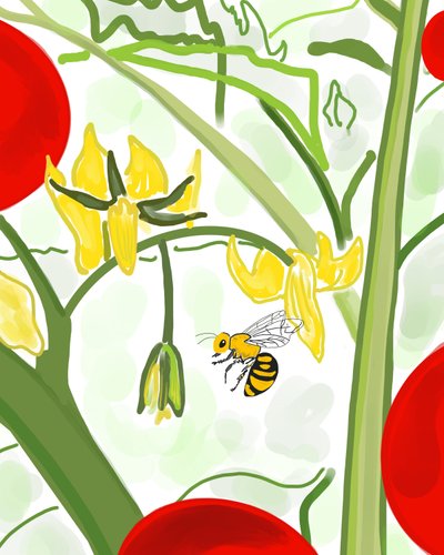 Abeille sur la vigne (art numérique) - Evan Sklar