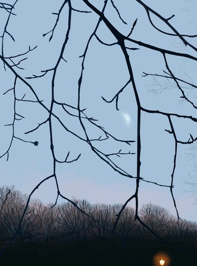 Branches, aube, Prospect Park (art numérique) - Evan Sklar