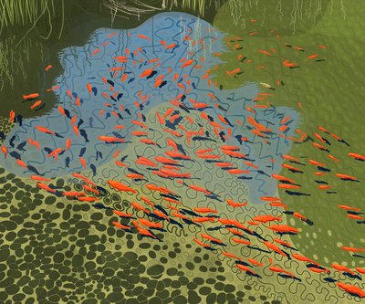 Étang à coy au jardin botanique (art numérique) - Evan Sklar