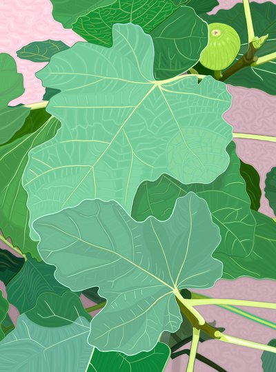 Feuilles de figuier et figue, vers 2020-24 (art numérique) - Evan Sklar