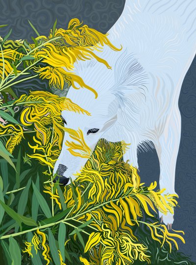Barbe de bouc, chien blanc et verge d