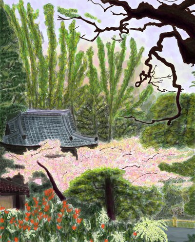 Jardin japonais - Evan Sklar