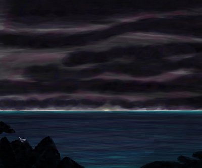 Océan et ciel avec oiseau de nuit - Evan Sklar
