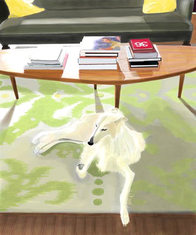 Penny On Rug - Evan Sklar