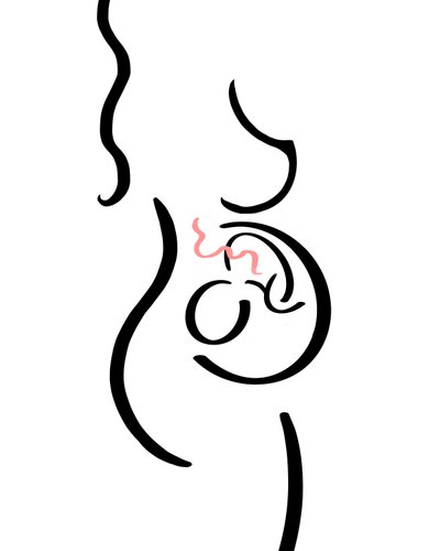 Enceinte (art numérique) - Evan Sklar