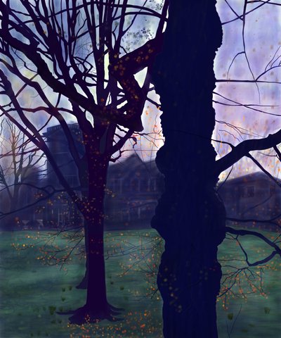 Prospect Park, aube, début du printemps - Evan Sklar