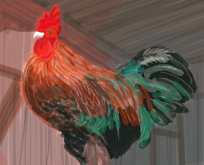 Rooster In Barn, 2018 (dessiné à la main sur un iPad avec un crayon Apple) - Evan Sklar
