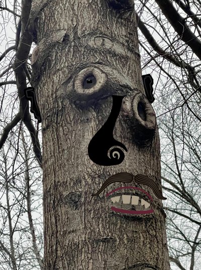 Visage d