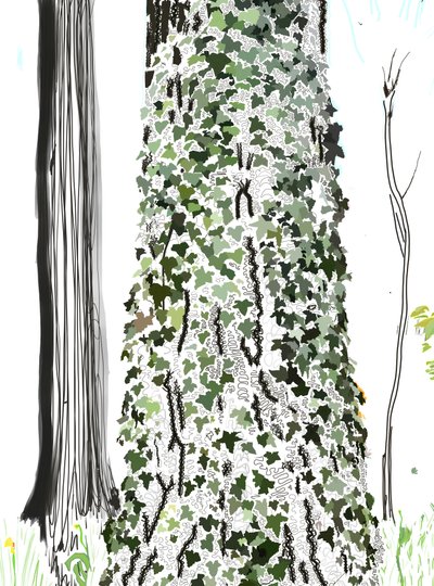 Arbre avec lierre (art numérique) - Evan Sklar