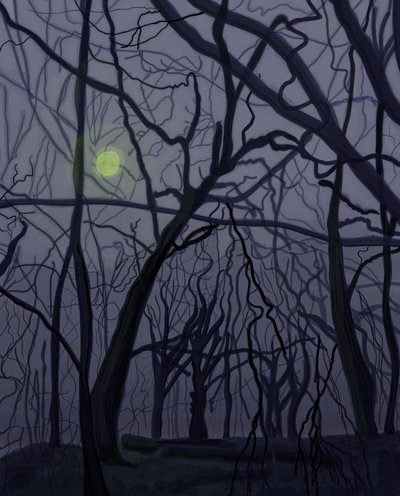 Arbres (art numérique) - Evan Sklar