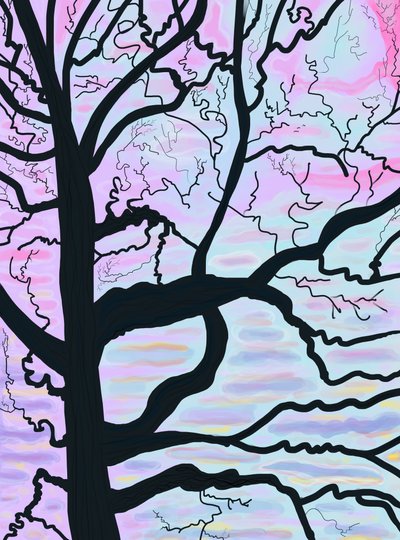 Arbres et branches à l