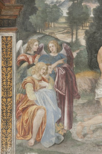 Le baptême du Christ, détail des anges - Evangelista and Arcimboldi Luini