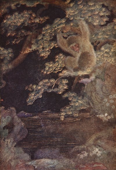 La méduse et le singe, illustration de 