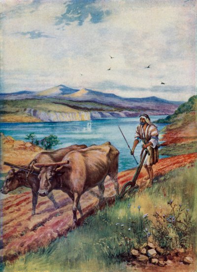 Labourer dans le pays de Jésus - Evelyn Stuart Hardy