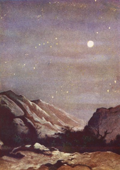  - Evelyn Stuart Hardy