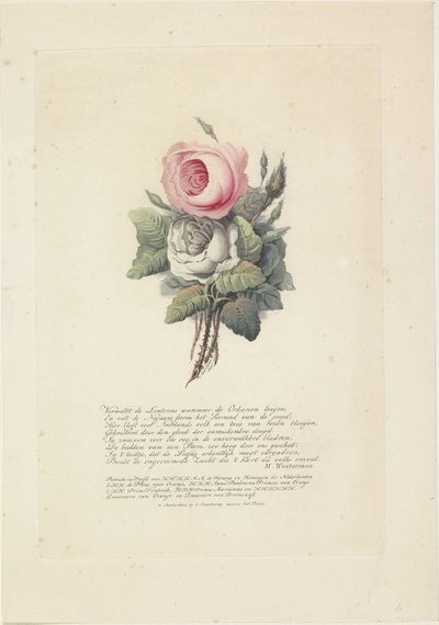 Roses avec portraits en silhouette de Guillaume I Frédéric, roi des Pays-Bas, Wilhelmine de Prusse, leurs enfants, sa mère et sa sœur - Evert Maaskamp