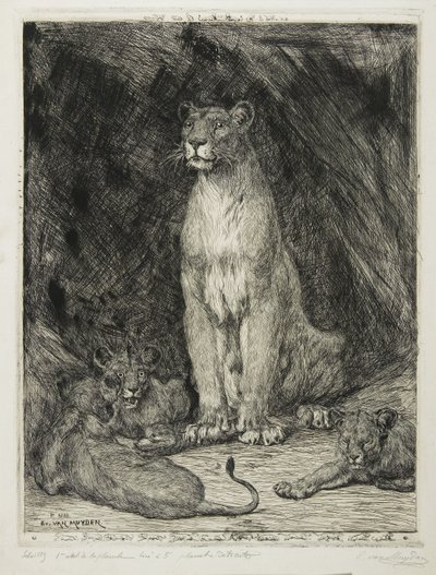 Lionne assise et trois lionceaux, 1888 - Evert van Muyden