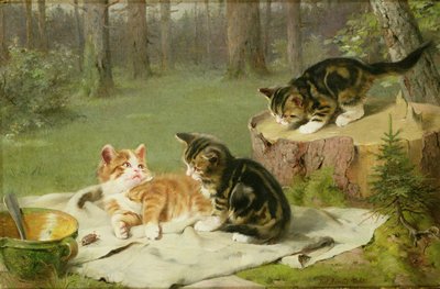 Chatons jouant - Ewald Honnef