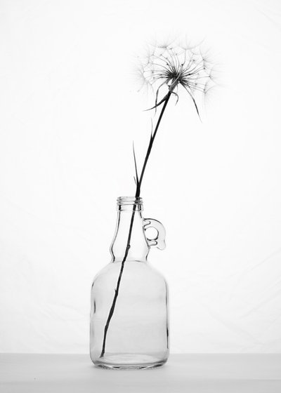 Nature morte délicate au pissenlit - Eyal Amer