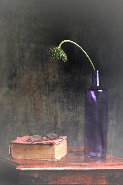 Fleur fanée et livre - Eyal Amer