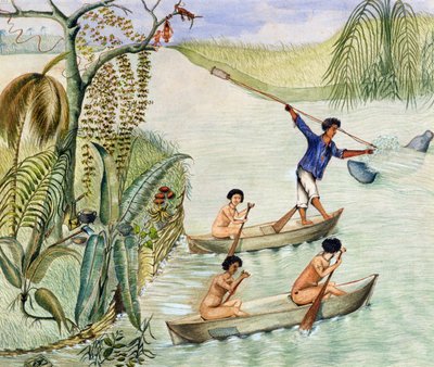Chasse au manati, lac Nicaragua - F. Deiezmann