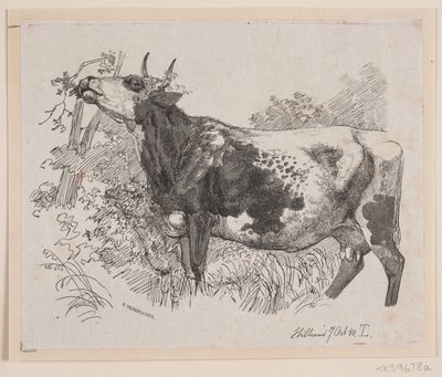 Une vache mangeant les feuilles d