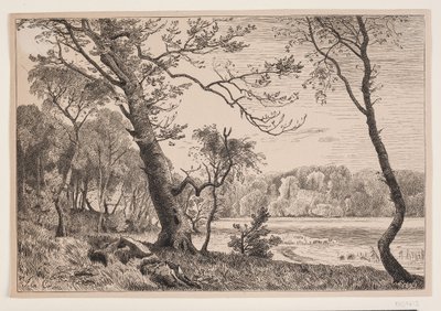 Le bosquet de Silkeborg vers le banc de la Dame - F. Hendriksen