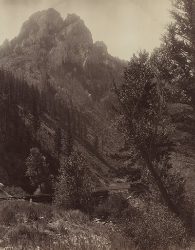 Sans titre, vers 1884 - F. Jay Haynes