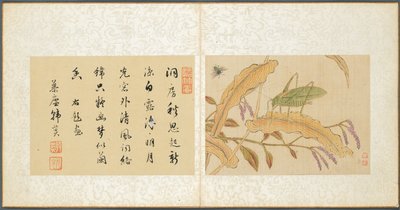 Album de sujets divers, Feuille 7, 1600s - Fan Qi
