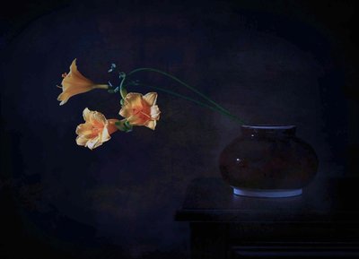  - Fangping Zhou