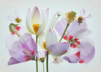 - Fangping Zhou