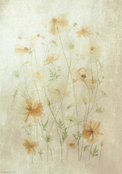  - Fangping Zhou