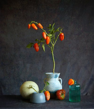 Nature morte rustique aux tomates orange - Fangping Zhou